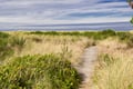 Beach Access