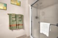 Master bathroom walk in shower