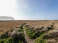 Tillamook Head and Dunes